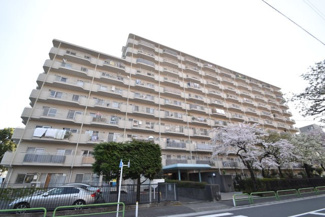 【外観】 | 物件のお問い合わせは、 ０３－５４５６－５４１５までお気軽にどうぞ！