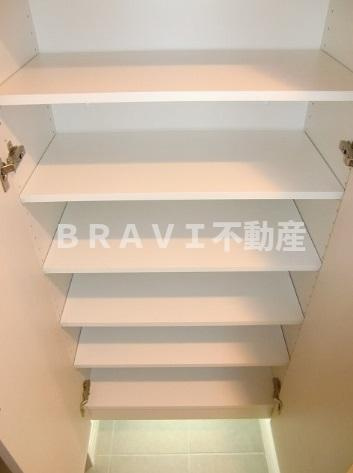 アクアプレイス東天満Ⅱ（アクアプレイスヒガシテンマツー）　BRAVI不動産の収納|収納があります