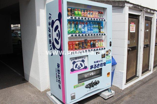 シーラカンスKANDYのその他