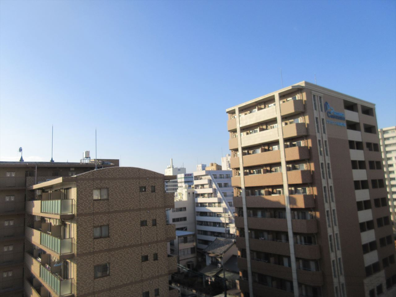 パークヒルズ葵の展望