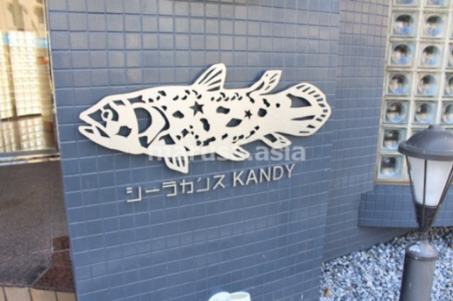 シーラカンスKANDYのその他