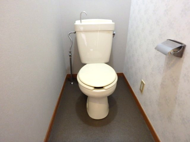 マンションニイミのトイレ