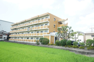 【展望】 | フレーバーフラッツ