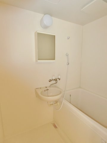 SKハイツの洗面所