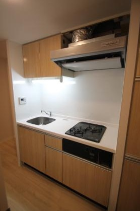 アーバネックス谷町Ⅱ　BRAVI不動産のキッチン|【アーバネックス谷町Ⅱ】お料理しやすいキッチンです