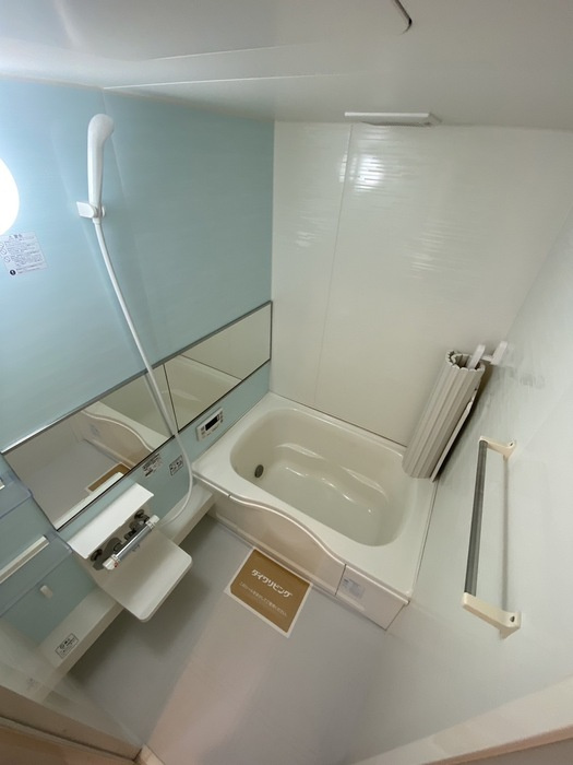 D-room Ishiiの浴室