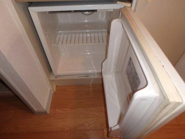 シャイリスのその他