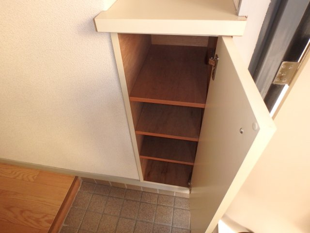 シャイリスの収納|シューズボックス