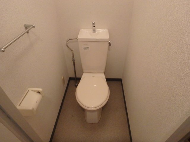 シャイリスのトイレ