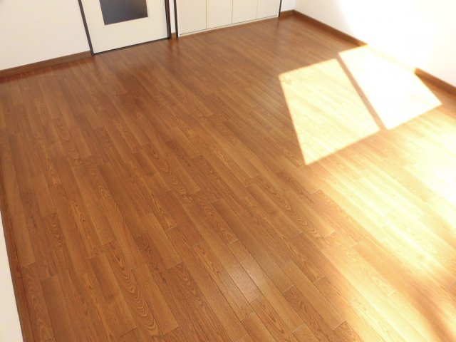 SurplusⅠSky　hills　Ｂ棟の洋室|イメージ写真