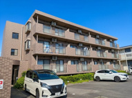 ハイムスズキの画像