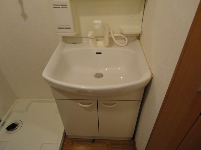 エクセレンス白山の洗面所