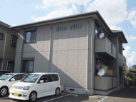 ＧＲＥＥＮ　ＧＡＢＬＥＳの画像