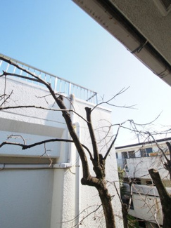 【展望】 | 2階ベランダからの眺望
