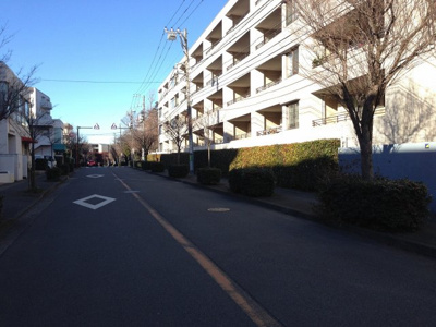 【周辺】 | パークテラス宮前平 | 前面道路