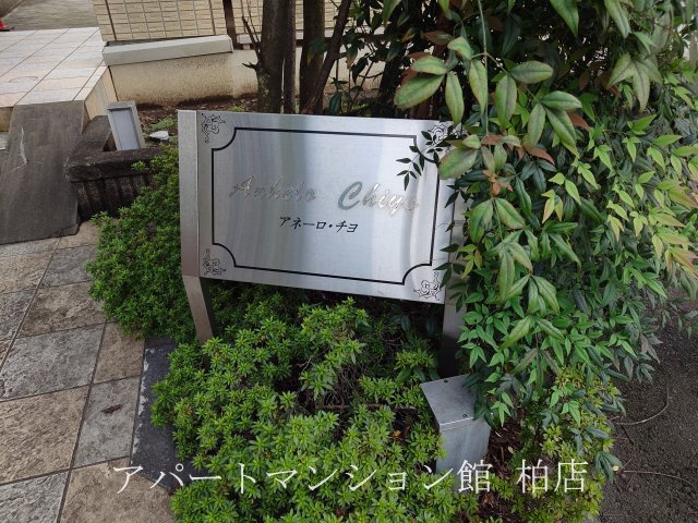 アネーロ・チヨのエントランス