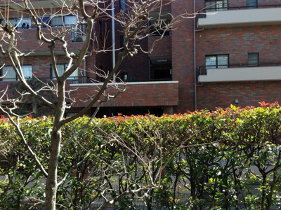 【展望】 | エクセラージュ宮前平