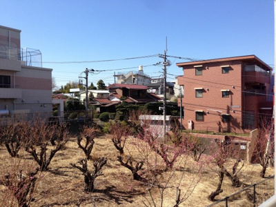 【展望】 | アトラス宮前平