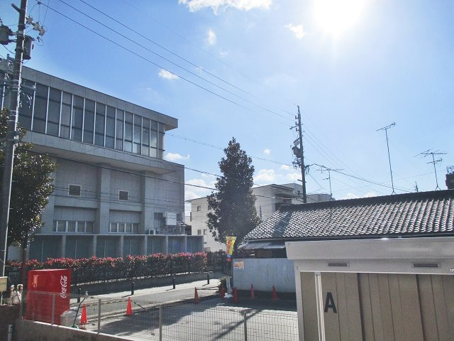 スカーバティー葵の展望|スカーバティー葵