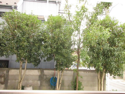 【展望】 | 双葉町グリーンハイツ