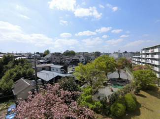 【展望】
