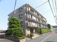 ドミール・オークの画像