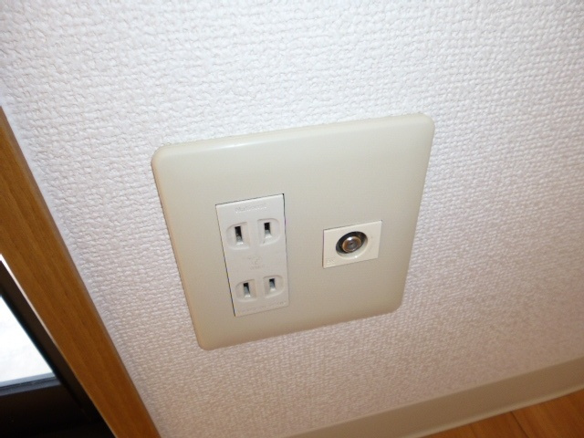 グレイスソフィアのその他|ＴＶジャック