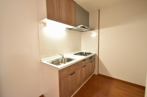 ベイシック大名のキッチン|ベイシック大名（1LDK）