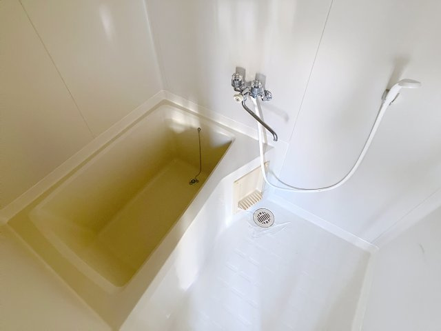 ラプラスジュネスの浴室