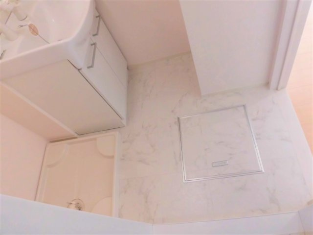 セジュール花水木の洗面所