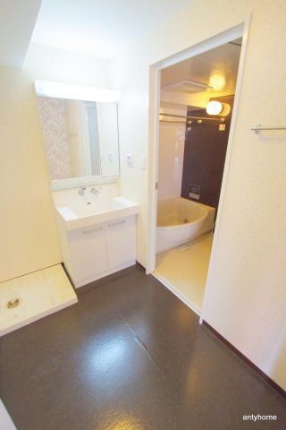 リバープレイス梅田北　仲介手数料無料の洗面所