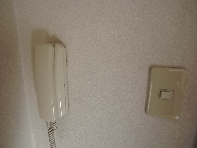 ウエストポーチのセキュリティ
