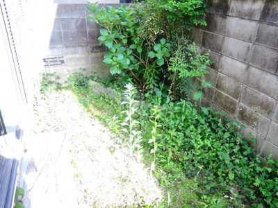 【庭】 | 松が丘1丁目６貸家
