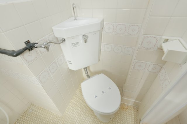 ドミシール平野No.5のトイレ