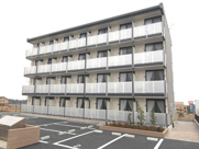 サンライツの画像