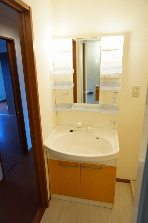 ルミエール植出の独立洗面台|温水シャワー付き洗面化粧台