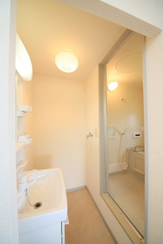 サンビレッジ住吉D棟の洗面所