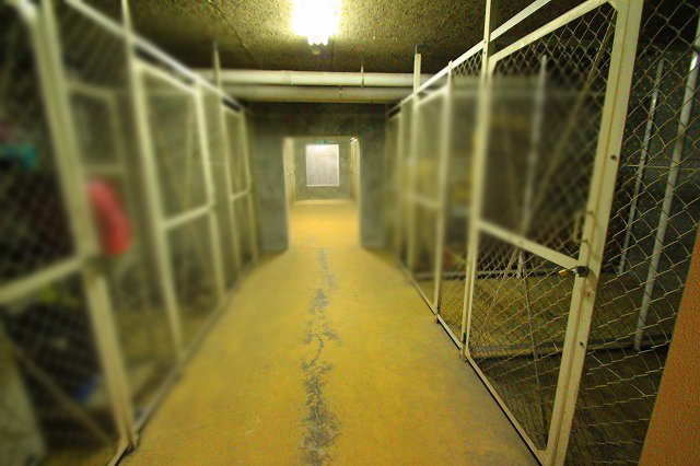 スペクトル舟津壱番館のその他共用部分|地下に物置スペースあります。1区画承継可能です。収納に便利です。