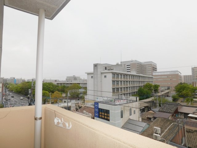【展望】 | サンフォード