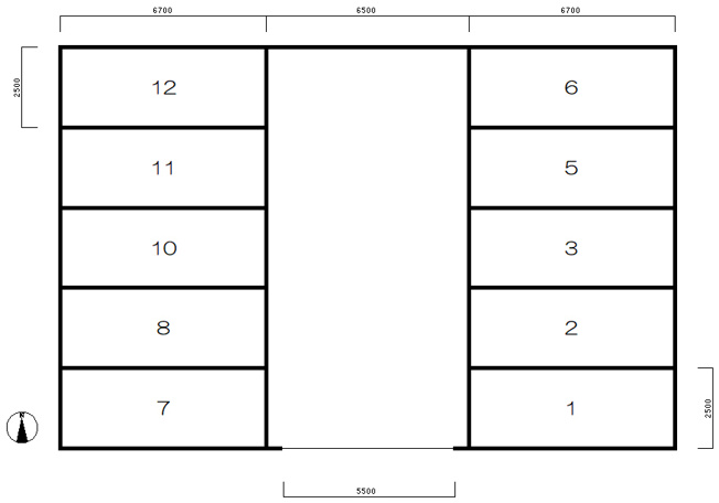 【間取り】 | 上ノ島（B）駐車場
