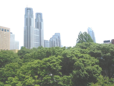 【展望】 | 西新宿 PINE NEEDLE