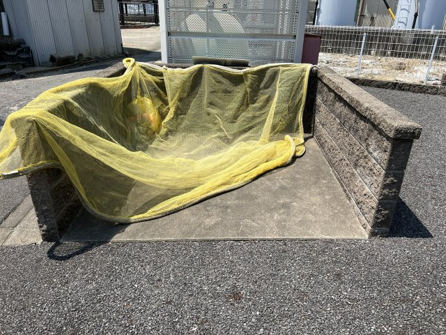 カーミー・芳川Bのその他共用部分|敷地内ゴミ置場