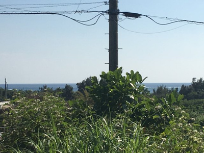 【展望】 | 南城市　水平線の見えるのどかな土地