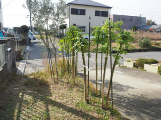 【外観】 | 東金市小沼田　売地 | 敷地内から接道方向