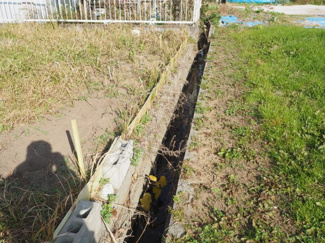 【その他】 | 東金市小沼田　売地 | 排水路です