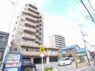 ヴェルドミールの画像