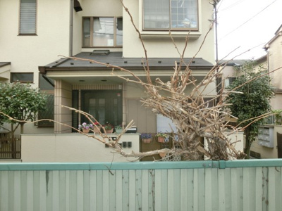 【展望】 | ワイハウス