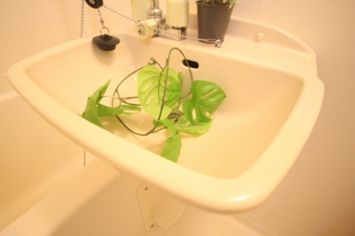 【洗面所】 | メゾン桃栄Ⅱ