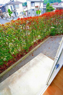 【庭】 | ニューエルディム中芝