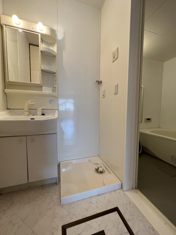 ユグドソレイユの洗面所|室内洗濯機置き場